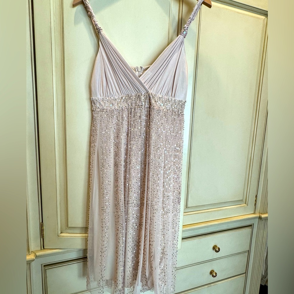 Bcbg dress , it's like a peachy pink color , worn once
